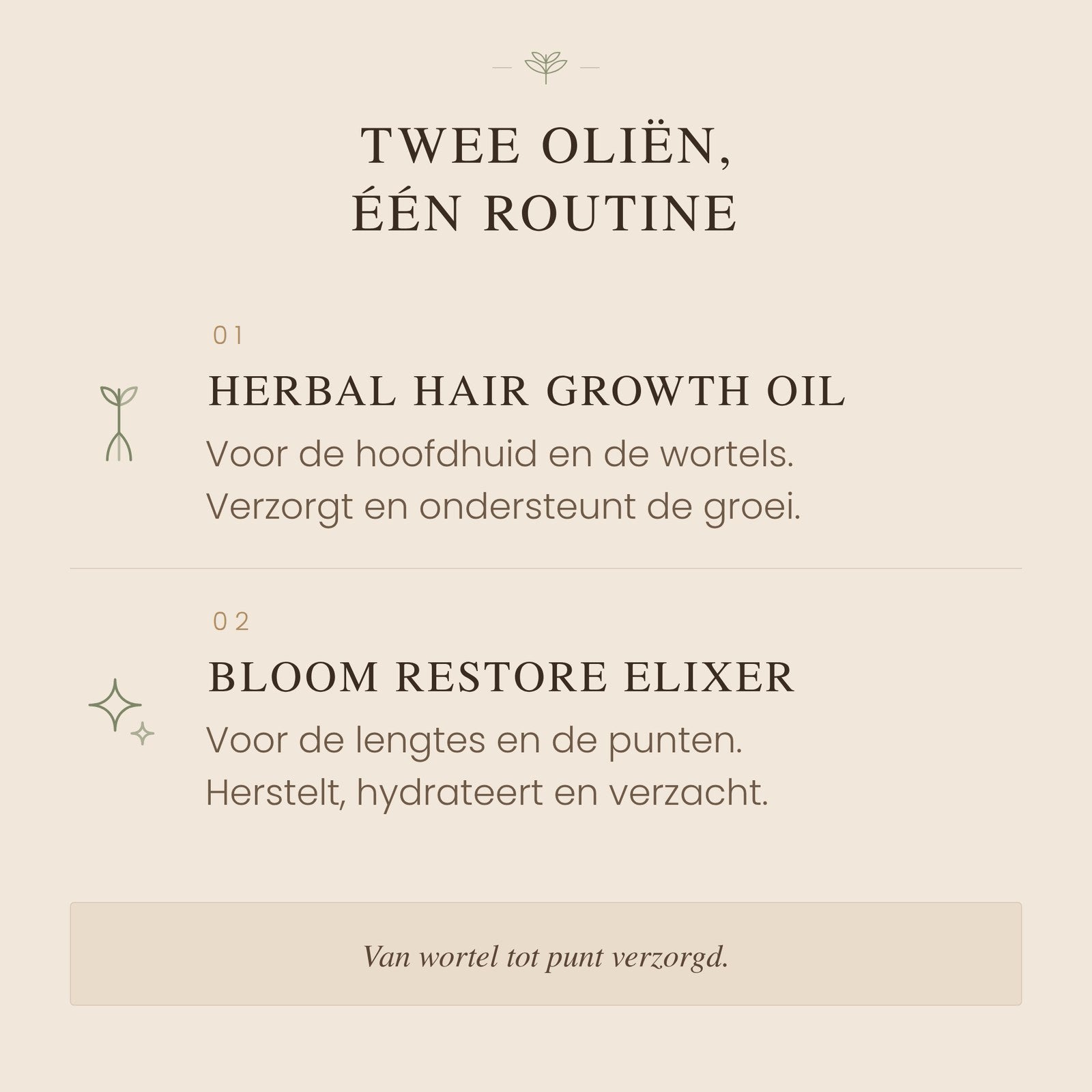 Combo Hair Growth Deal 1 + 1 GRATIS !